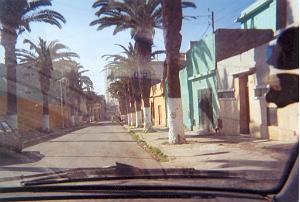 ORAN 2003 09 AVENUE DES PALMIERS ET ANNEXE ENCORE